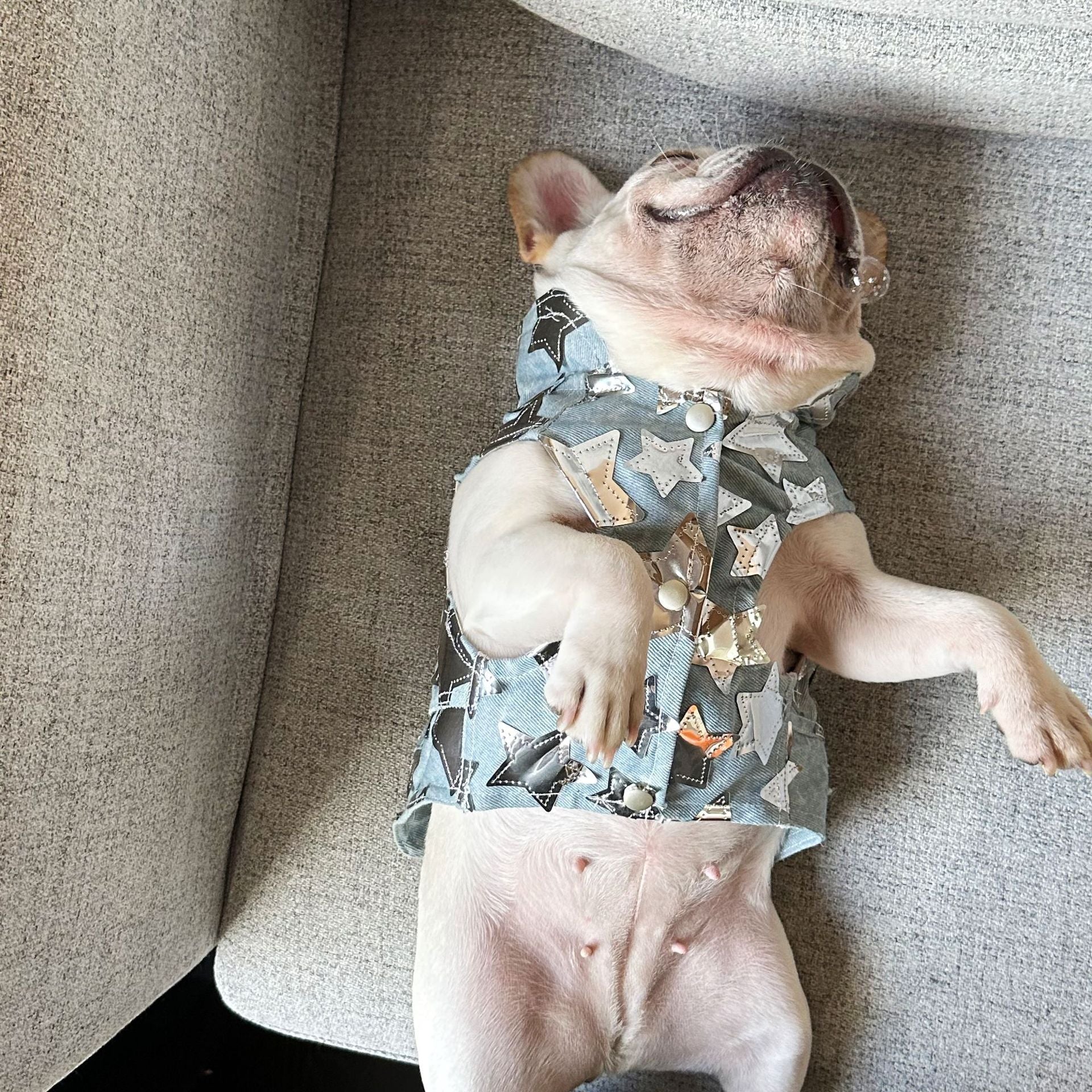 Gilet in Jeans per Cani - Modello Star con Stelline Luccicanti - Dog Moda