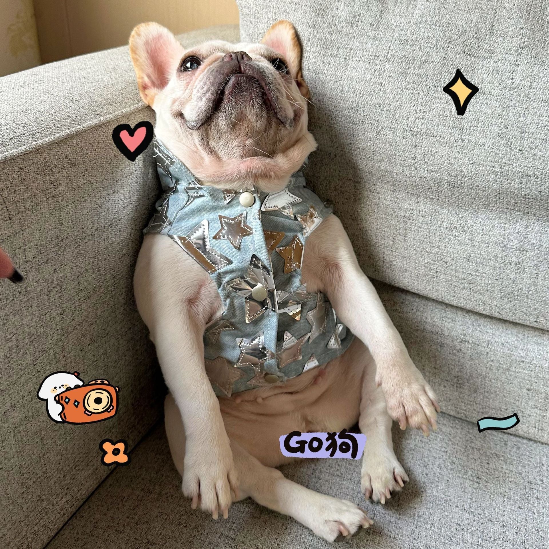 Gilet in Jeans per Cani - Modello Star con Stelline Luccicanti - Dog Moda