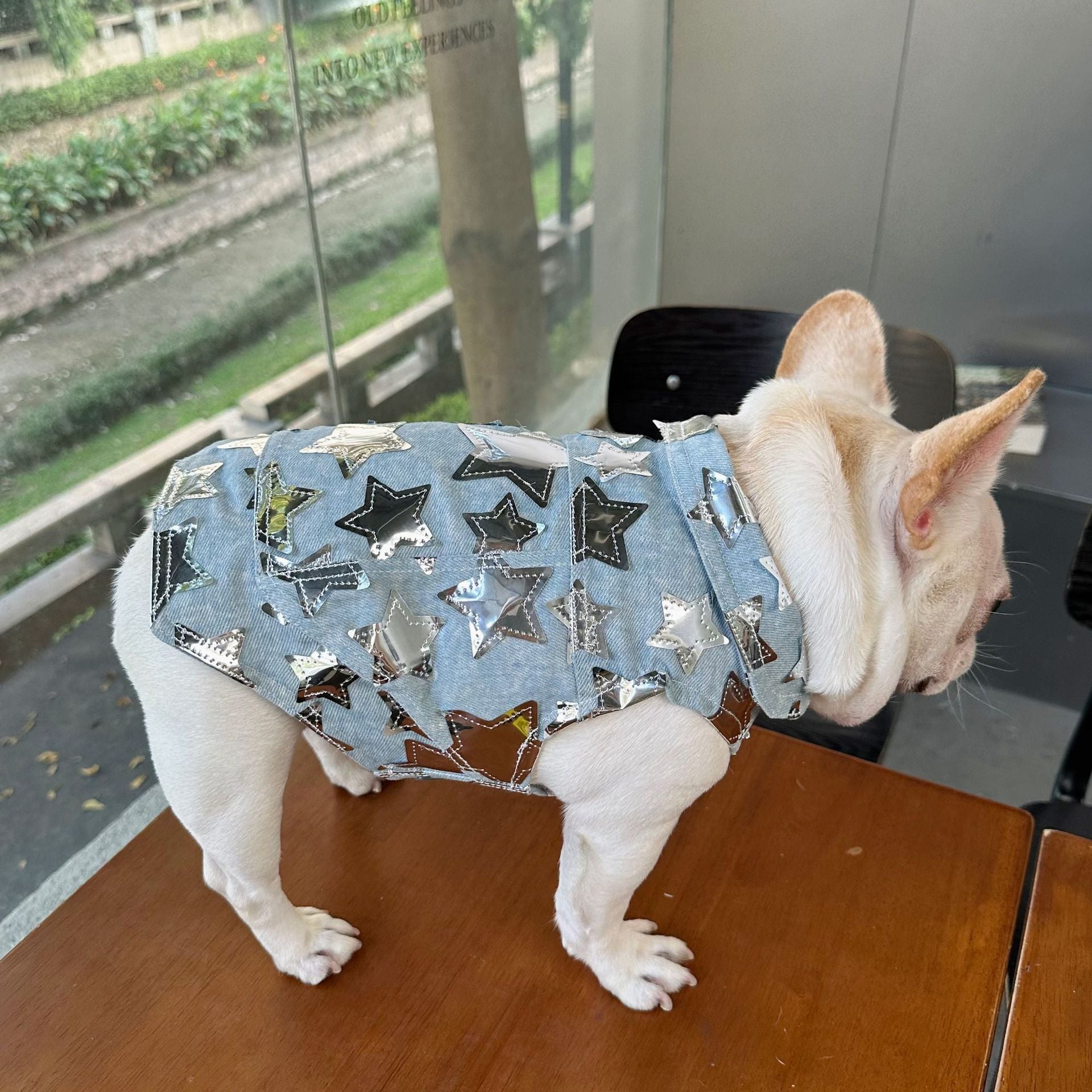 Gilet in Jeans per Cani - Modello Star con Stelline Luccicanti - Dog Moda
