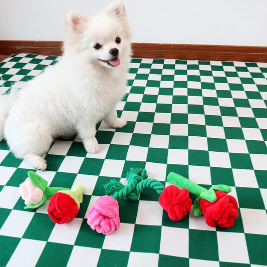 Giocattolo per Cani e Gatti in Peluche con Squeaker - Fiore Resistente con Catnip e Corda per Masticare - Dog Moda