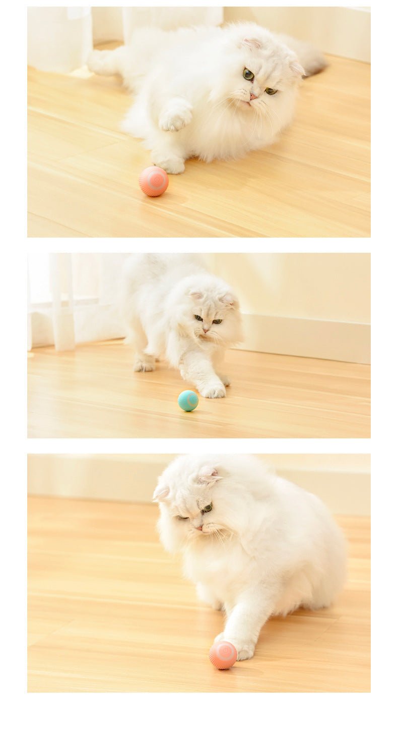 Gioco interattivo pallina per gatti "Pet Gravity" - Dog Moda