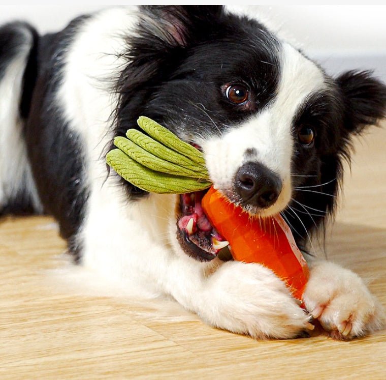 Gioco masticabile per cani carota con fischietto e ciuffo in tessuto - Dog Moda