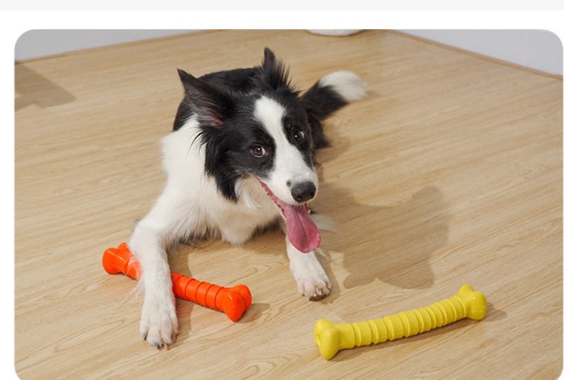 Gioco masticabile per cani osso in gomma super resistente - Dog Moda