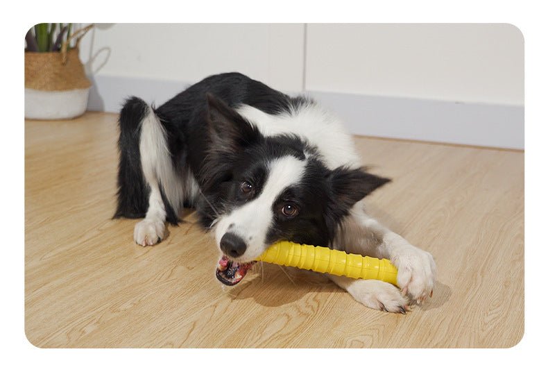 Gioco masticabile per cani osso in gomma super resistente - Dog Moda
