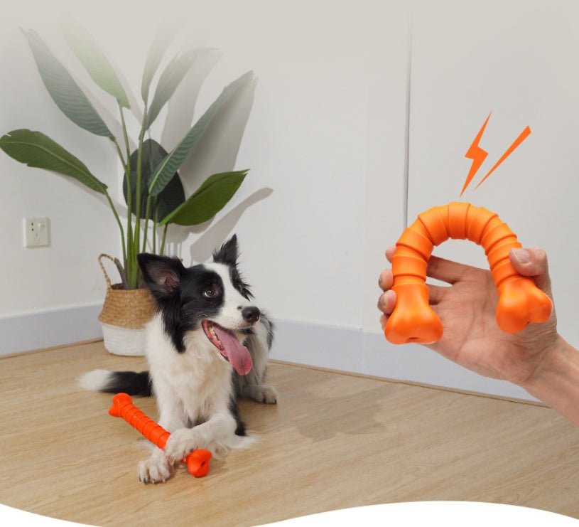 Gioco masticabile per cani osso in gomma super resistente - Dog Moda
