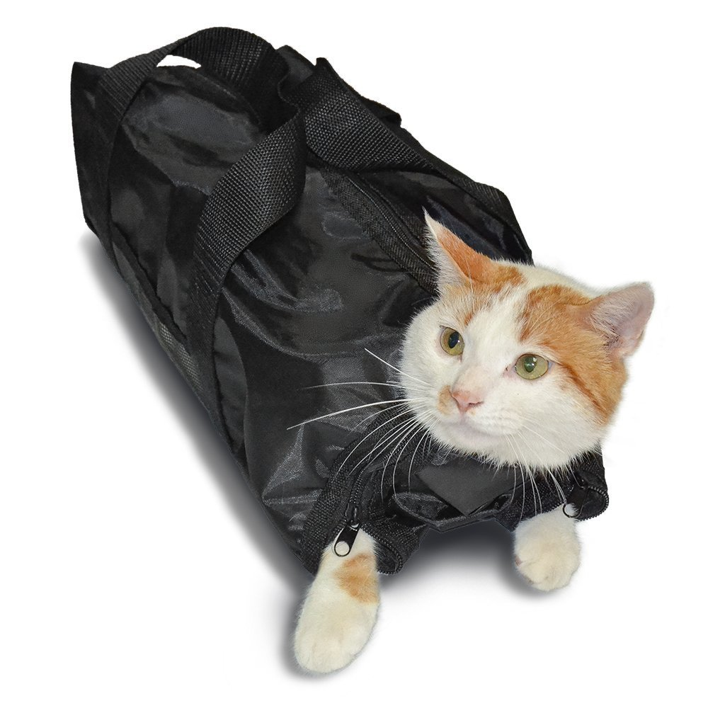 Gatto dentro borsa per toelettatura con apertura per zampe e cinghie regolabili Dog Moda