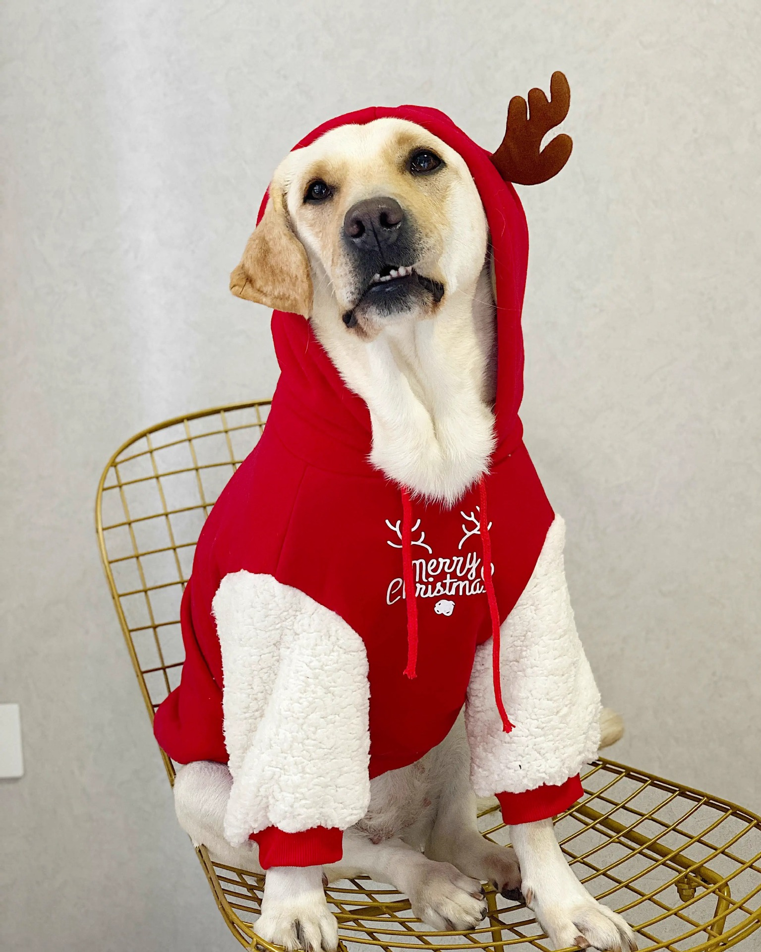 Sudadera Navideña para Perro y Gato Merry Christmas con Reno y Capucha