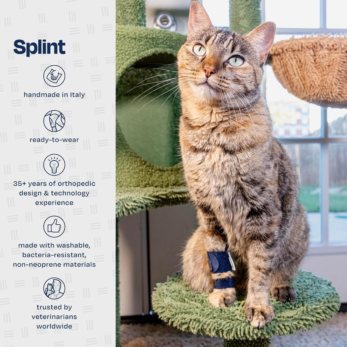 Tutore Ortopedico Zampa Anteriore Gatto - Splint by Dog Moda
