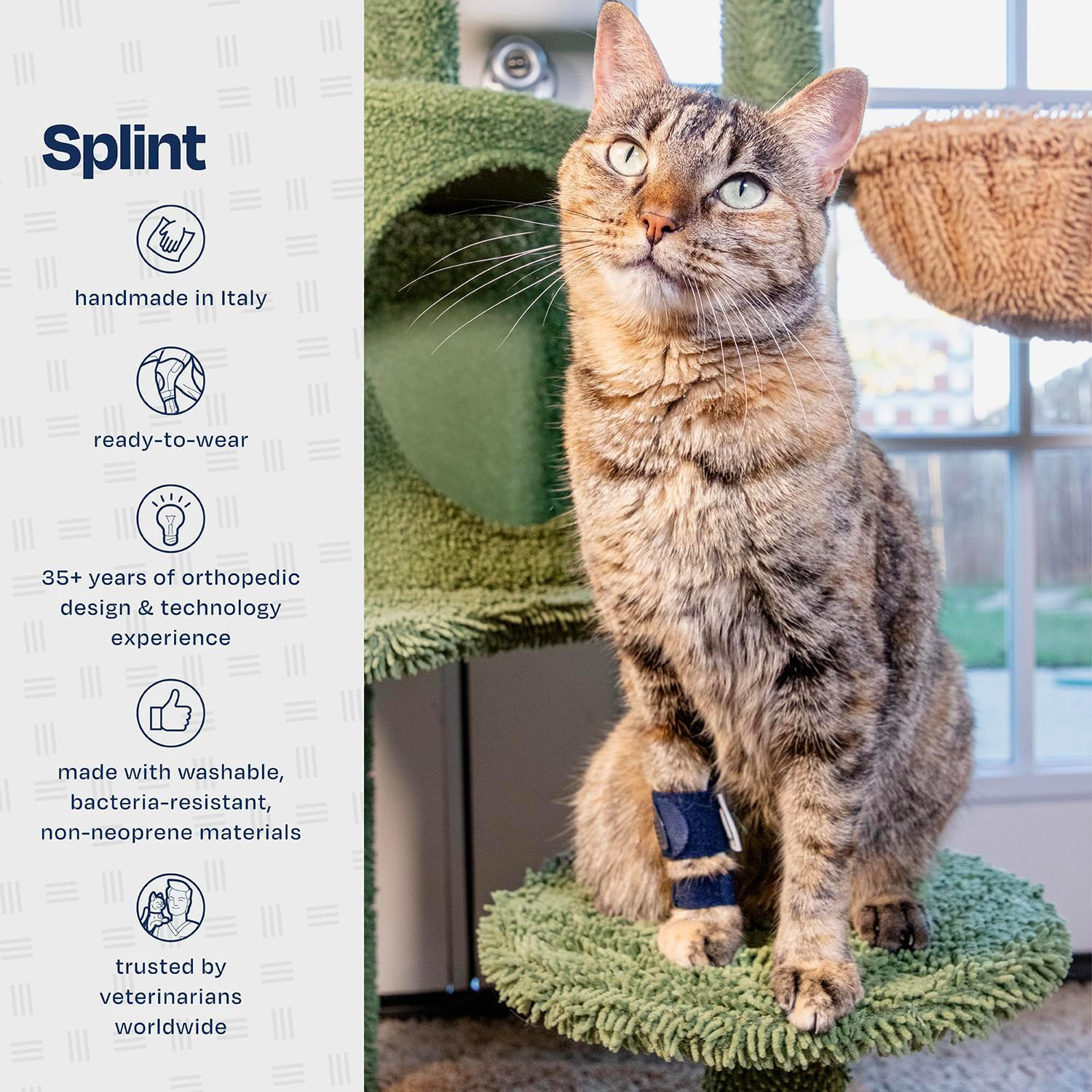 Tutore Ortopedico Zampa Anteriore Gatto - Splint by Dog Moda