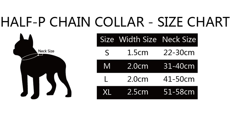 Collare Cane con Catena in Poliestere Resistente