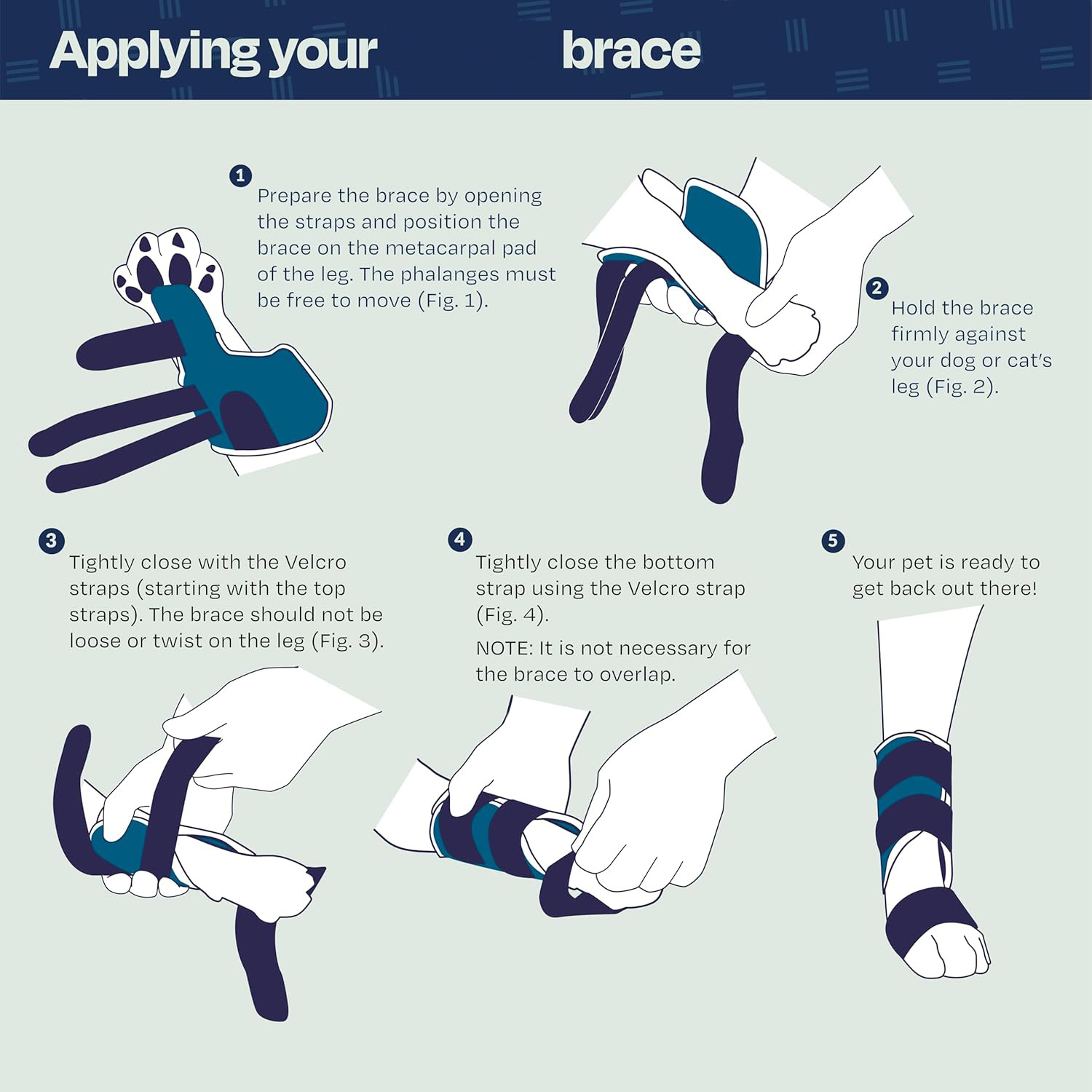 Tutore Ortopedico Zampa Anteriore Gatto - Splint