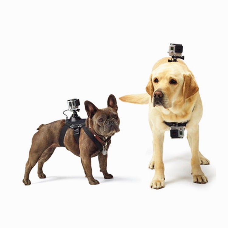 Imbracatura per cani e gatti Go Pro o smartphone - Dog Moda