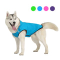Siberian Husky wearing a blue waterproof dog raincoat with hood on white background