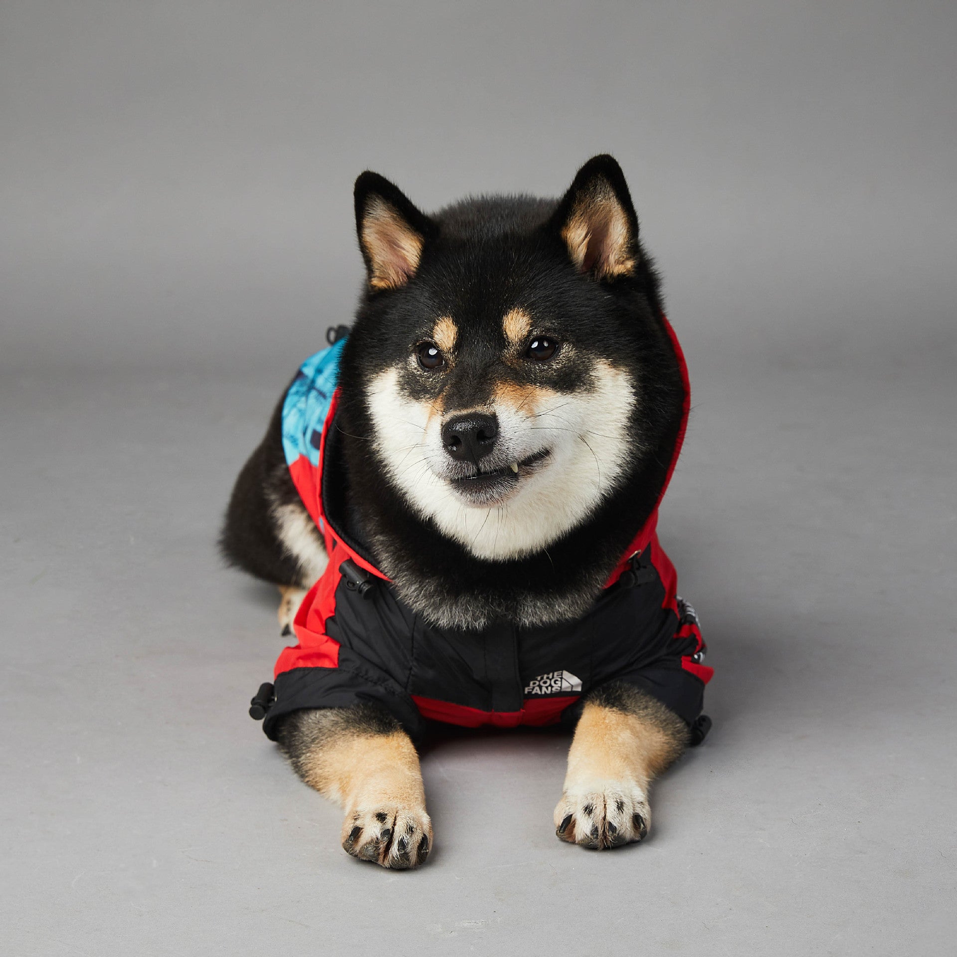 Impermeabile Liberty Chic per cani - The Dog Fans - Dog Moda