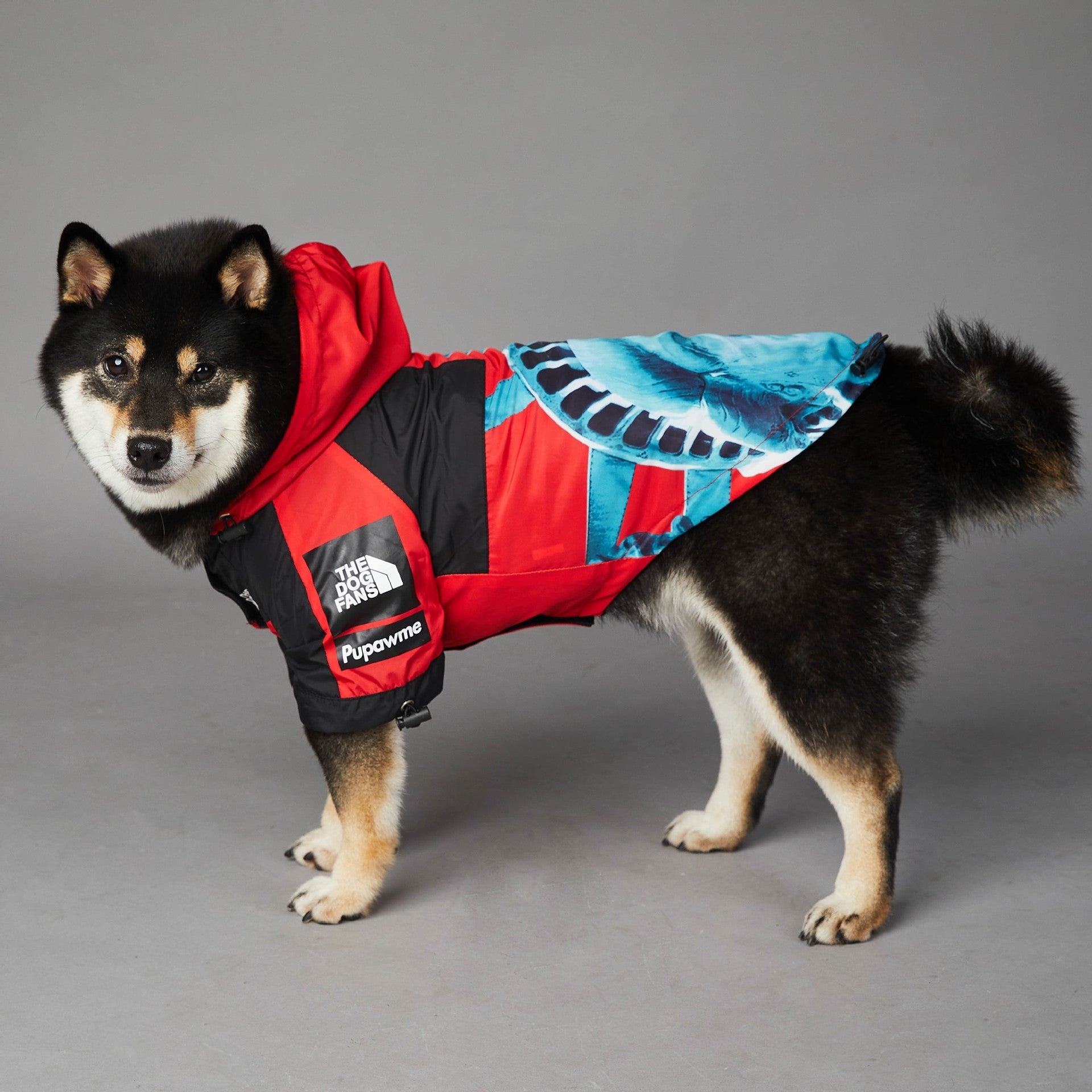 Impermeabile Liberty Chic per cani - The Dog Fans - Dog Moda