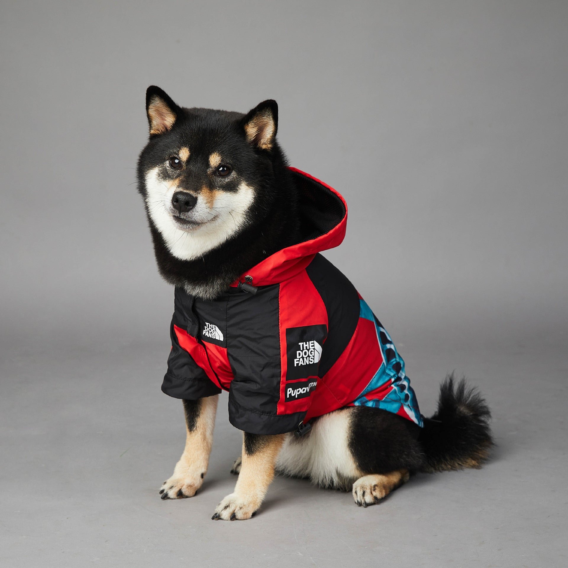 Impermeabile Liberty Chic per cani - The Dog Fans - Dog Moda