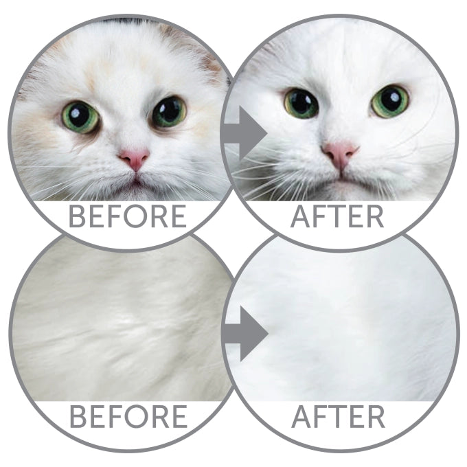 Nature’s Protection Superior Care – Gato Blanco Sin Grano Arenque